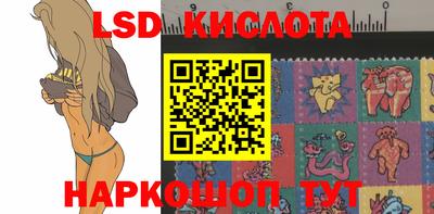 крисы Нальчик