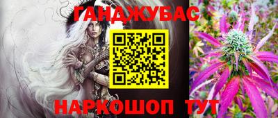 крисы Нальчик