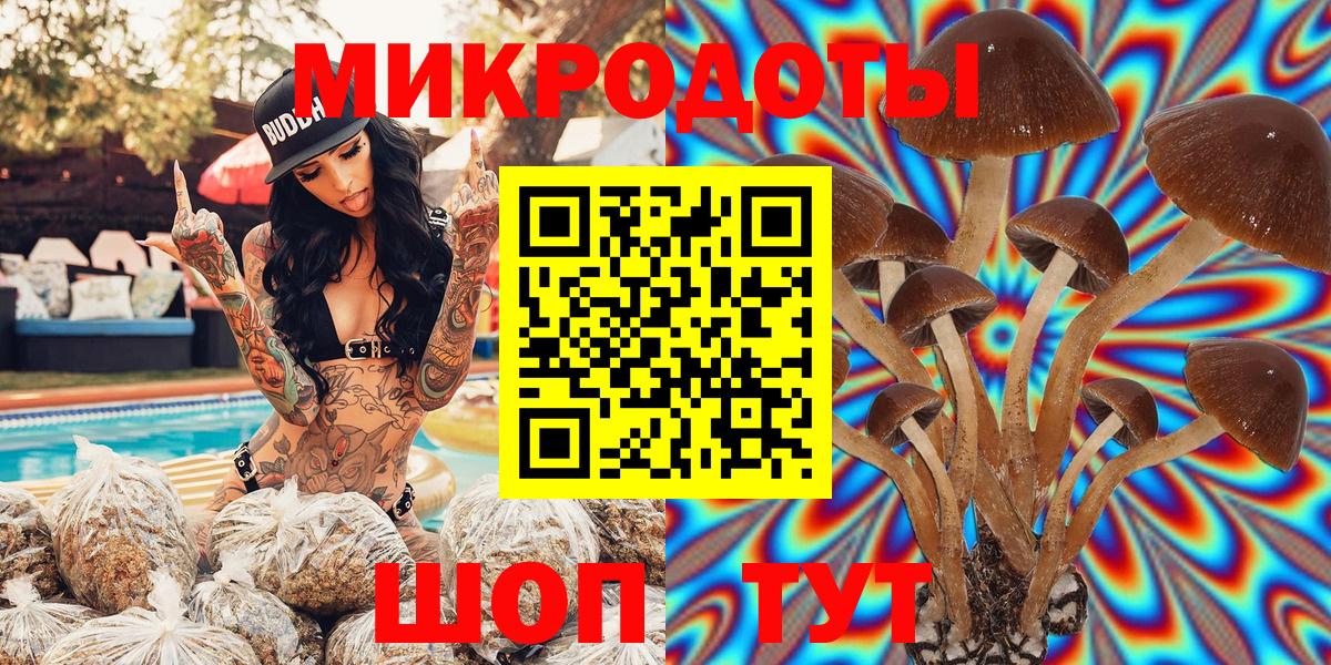 Галлюциногенные грибы Cubensis Воткинск