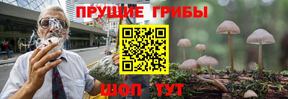 Галлюциногенные грибы Psilocybe  Вход с VPN  Воткинск 